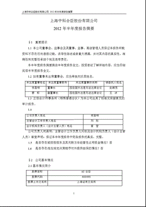 600490 ST合臣半报摘要.ppt