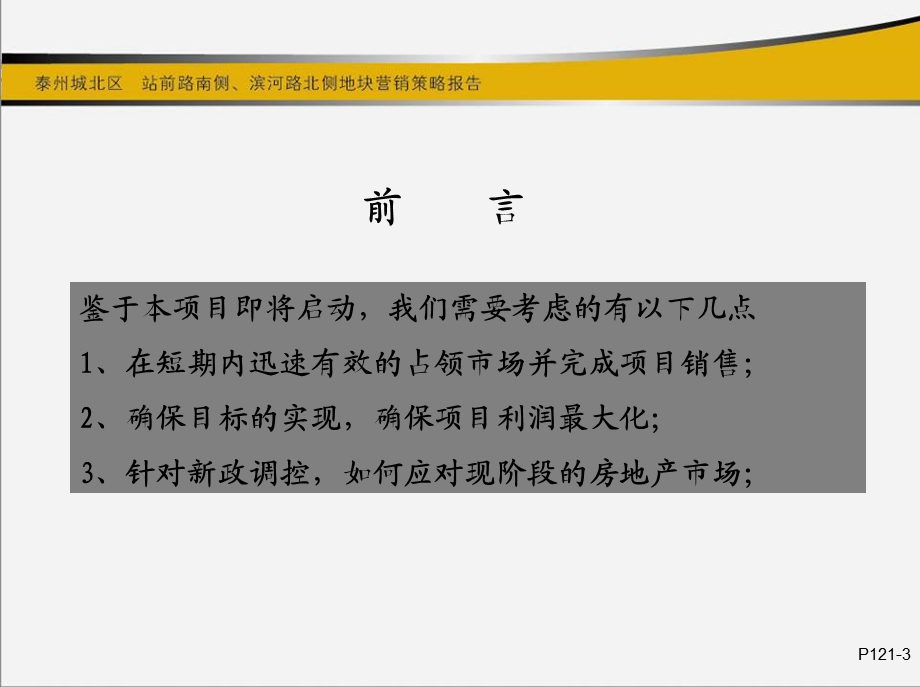 泰州城北区站前路南侧、滨河路北城地块营销策略报告80p.ppt_第3页