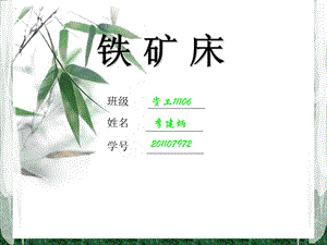 铁矿床基础知识培训介绍PPT.ppt