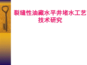 裂缝性油藏水平井堵水课题设计.ppt