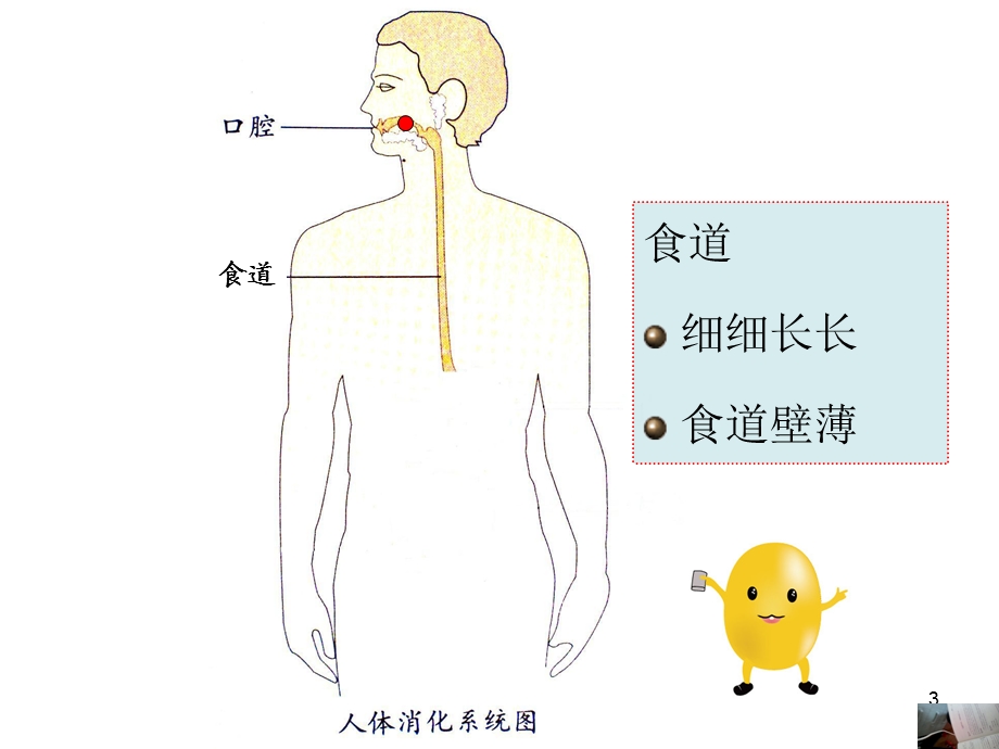 小豆子的旅行.ppt_第3页