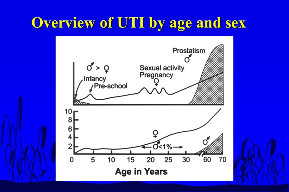 Urinary tract infection.ppt_第3页