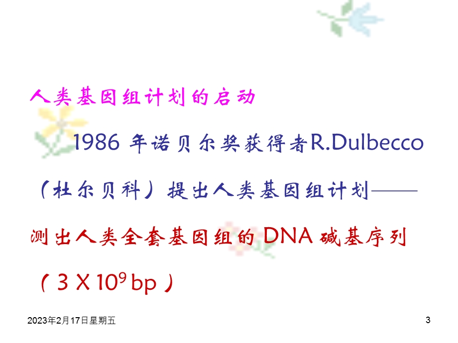 基因组学、功能基因组学、蛋白质组学.ppt_第3页