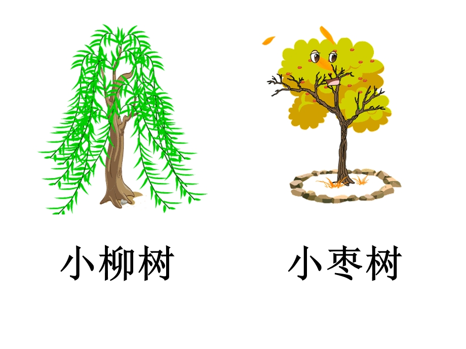 人教版小学语文课件《小柳树和小枣树》 (1).ppt_第1页