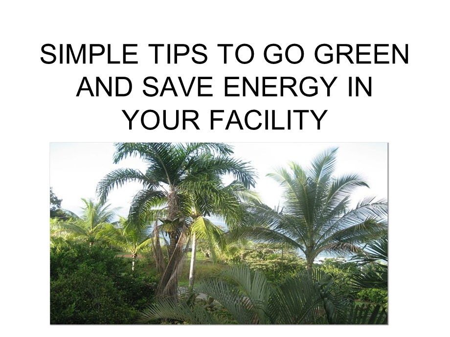 SIMPLE TIPS TO GO GREEN AND SAVE ENERGY IN YOUR.ppt_第1页