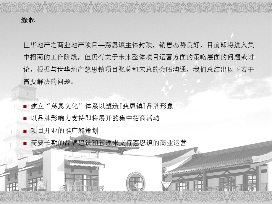 商业地产慈恩镇项目作业建议构思.ppt_第2页