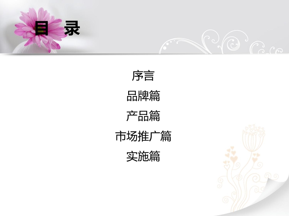 女士服装品牌的五年战略规划.ppt_第2页