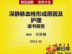 读书报告2013-01.ppt