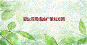 碧生源产品网络营销推广策划全案【可编辑营销方案】 .ppt