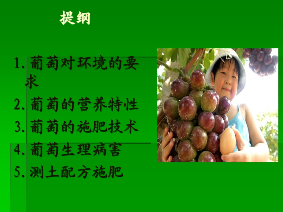 葡萄施肥技术(2).ppt_第2页