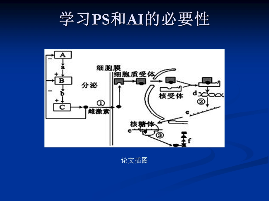 SCI论文插图规范刘.ppt_第3页