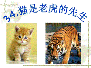 34猫是老虎的先生.ppt.ppt