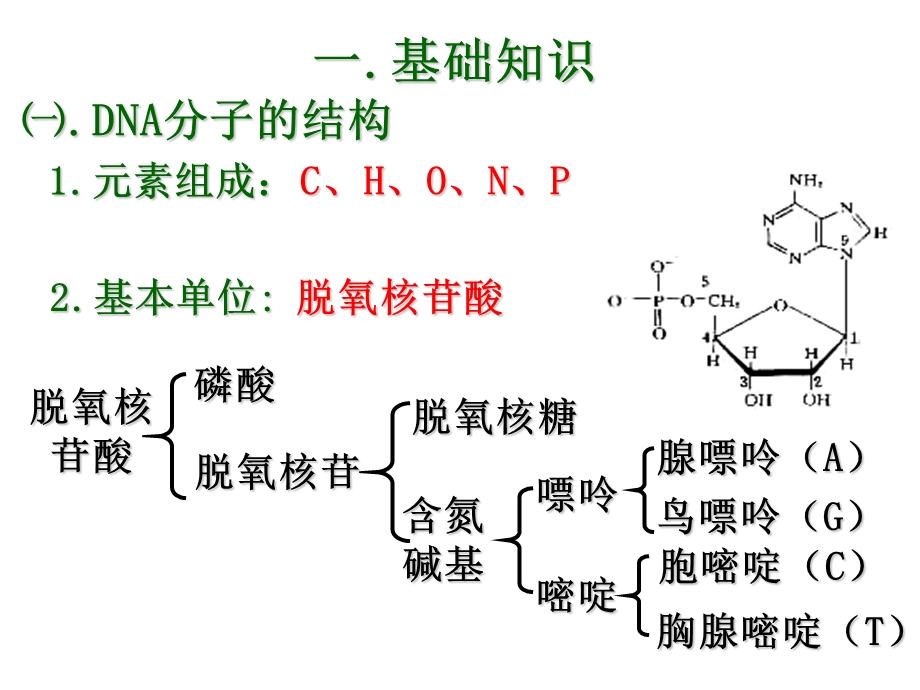 5.2多聚酶链式反应扩增DNA片段.ppt.ppt_第2页