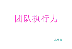 团队执行力1.ppt