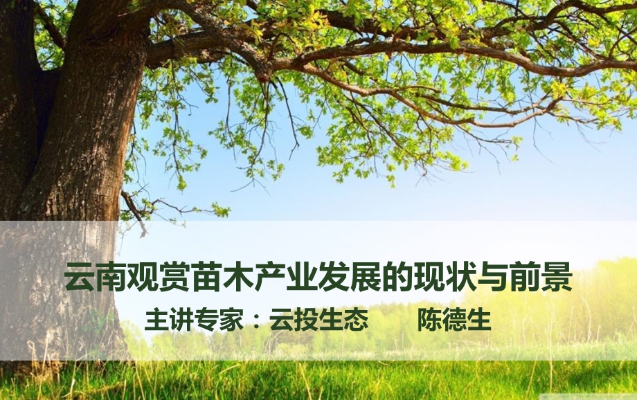 云南观赏苗木产业发展的现状与前景.ppt_第1页