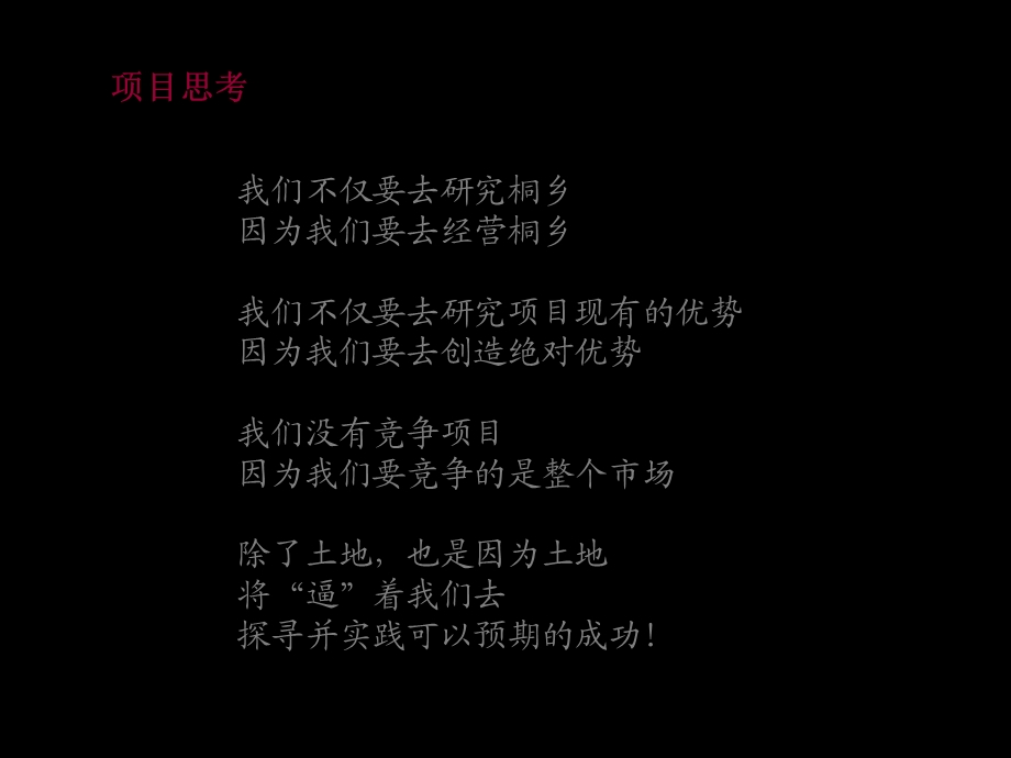 桐乡世贸营销执行报告.ppt_第2页