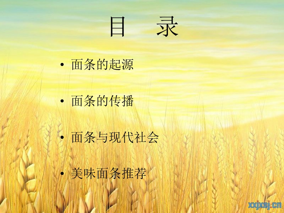 面条之路.ppt_第3页