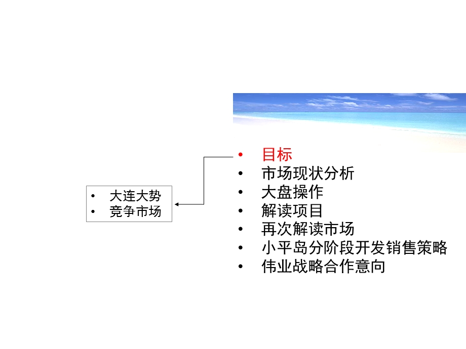 大连小平岛开发与营销报告.ppt_第3页