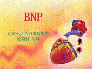 脑钠肽BNP.ppt