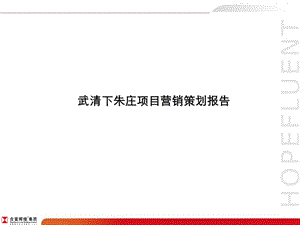 天津武清下朱庄项目营销策划报告.ppt