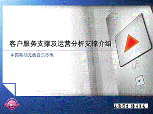 客户服务支撑及运营分析支撑介绍.ppt