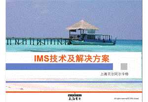 IMS技术及解决方案上海贝尔（上） .ppt