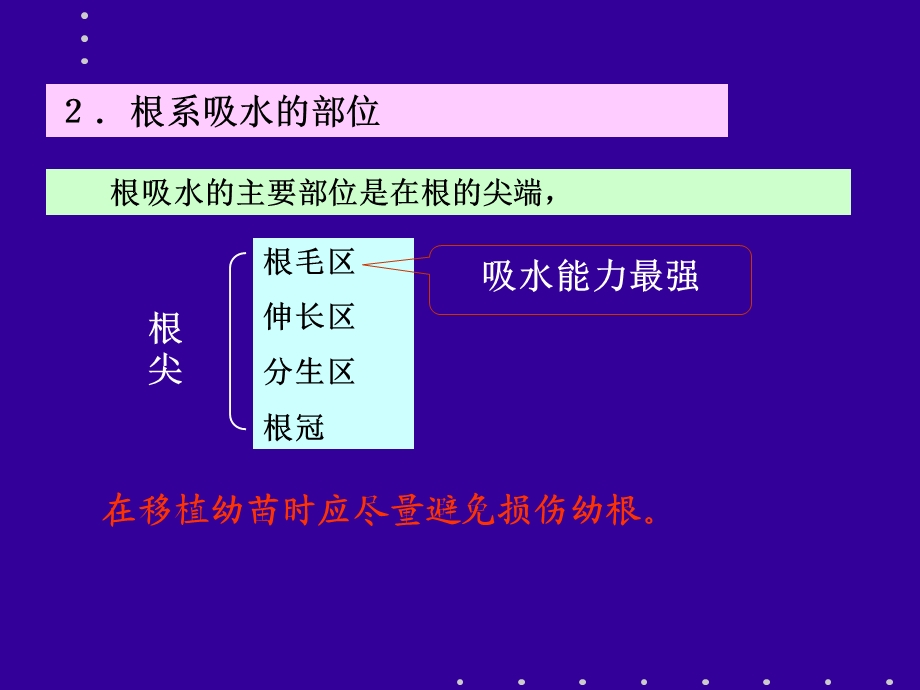 第三节 植物根系对水分的吸收 一`根系吸水的部位.ppt_第3页