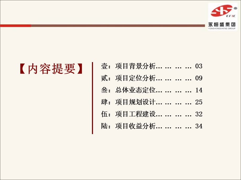 东城商业街项目可行性分析报告.ppt_第2页