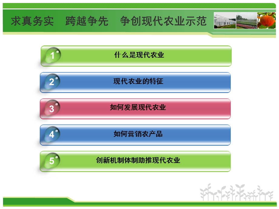 现代农业讲座1.ppt_第3页