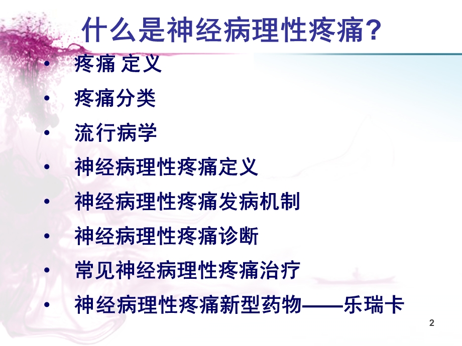 神经病理性疼痛.ppt_第2页