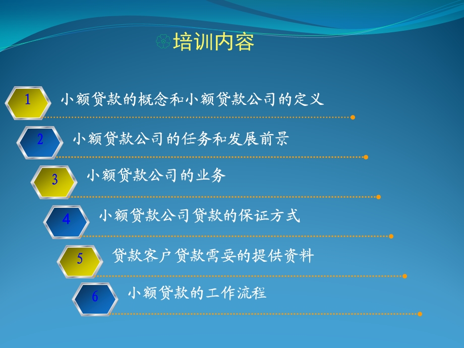 小额贷款培训.ppt.ppt_第2页