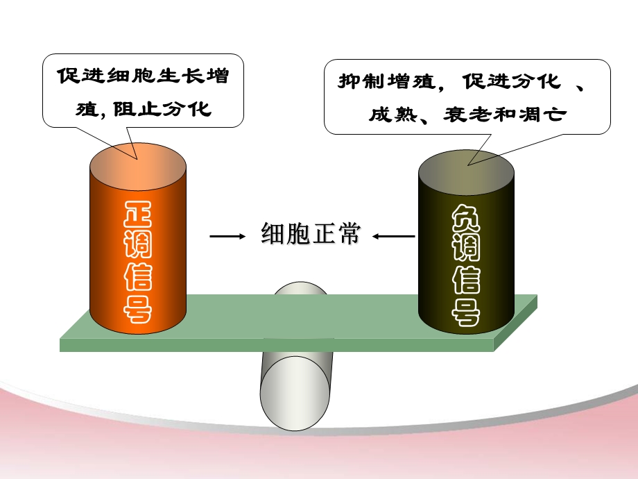 1113941287第十一章癌基因与抑癌基因.ppt.ppt_第3页