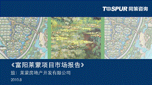 2010杭州富阳莱蒙项目市场报告-市场部分194p.ppt