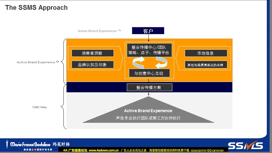 其他玛花纤体MFB现货减排运动提案.ppt_第3页