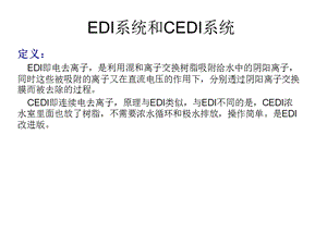 EDI和CEDI系统.ppt