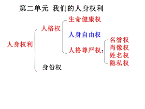 3.1生命与健康的权利.ppt