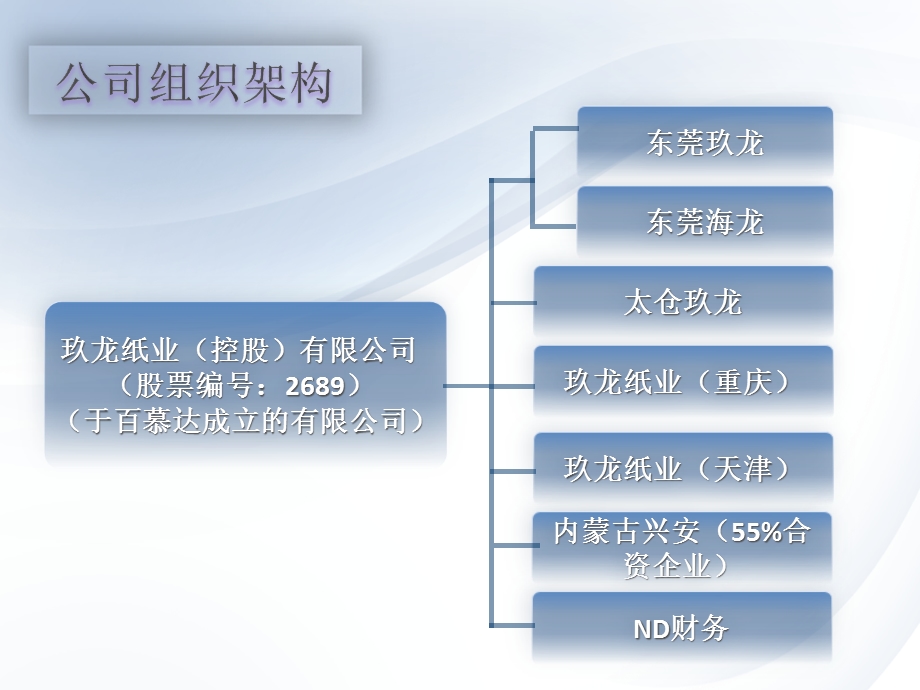 玖龙公司介绍手册.ppt_第2页