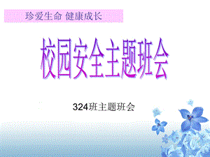 珍爱生命 健康成长.ppt.ppt