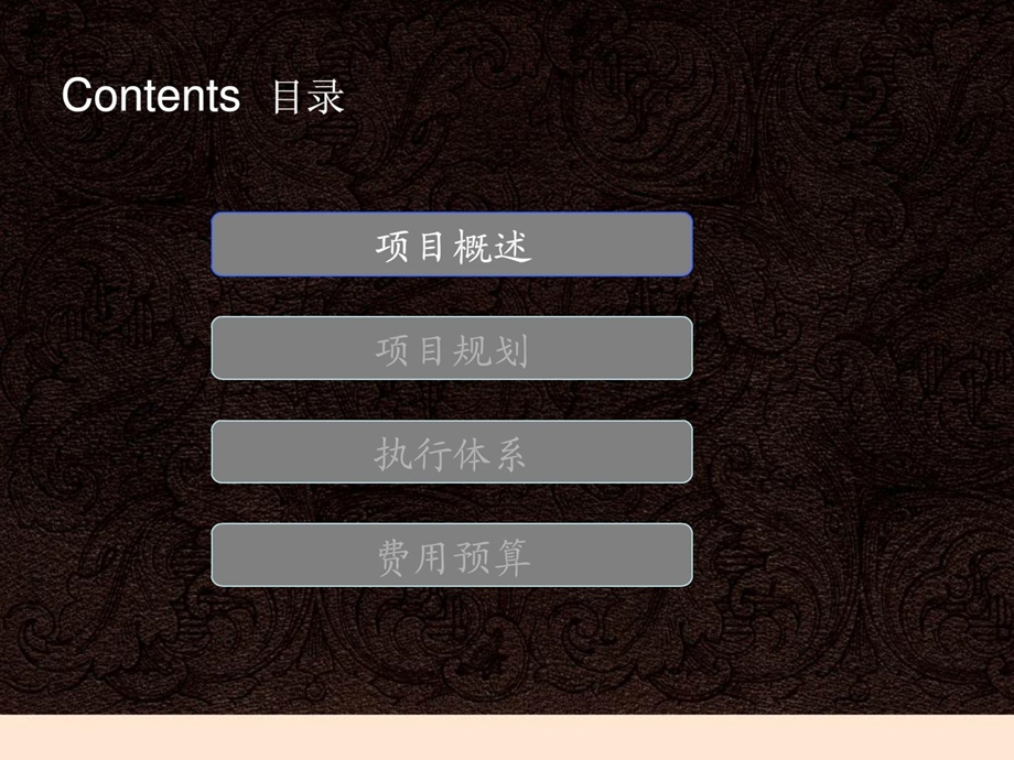 [宝典]路演运动策划计划.ppt_第2页