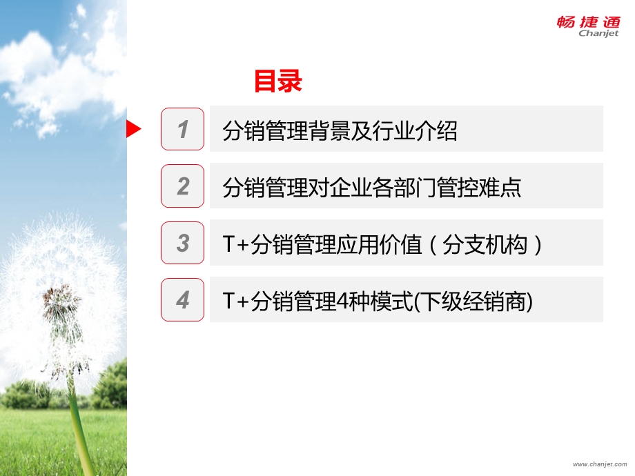 畅捷通T+分销行业解决方案.ppt_第2页