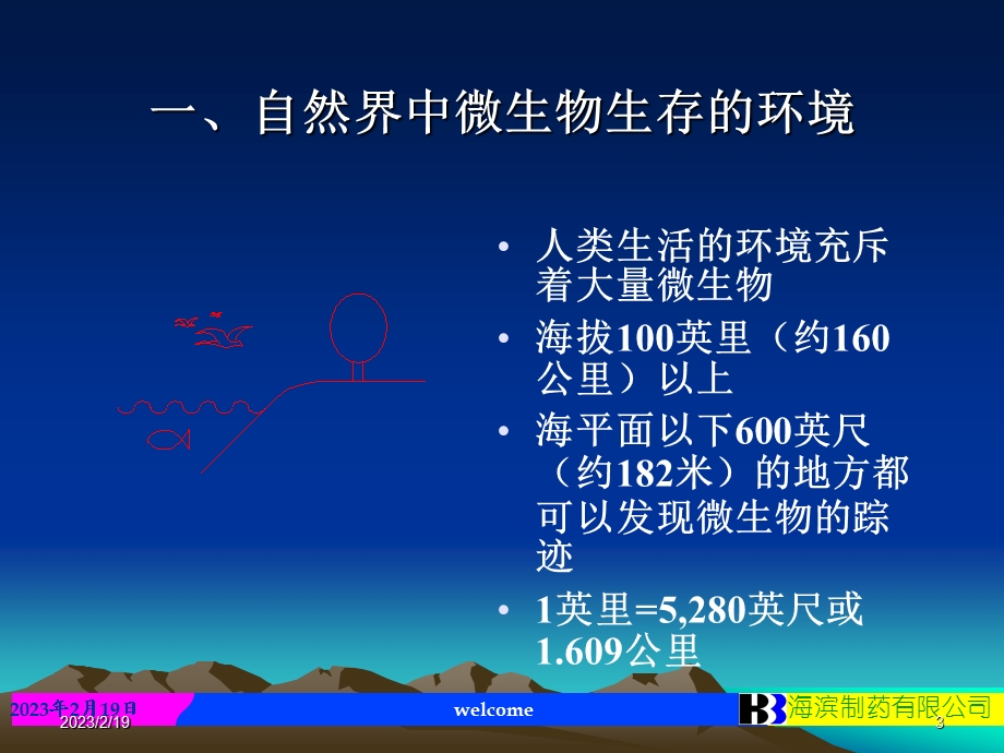 药品生产相关的微生物基础知识.ppt_第3页