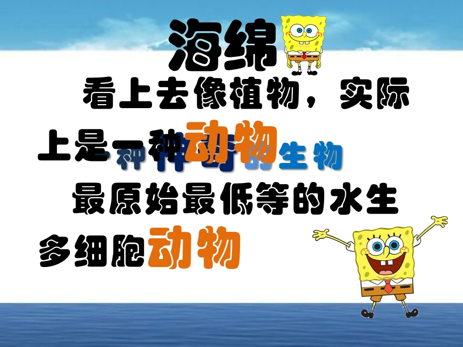 海绵宝宝.ppt_第3页