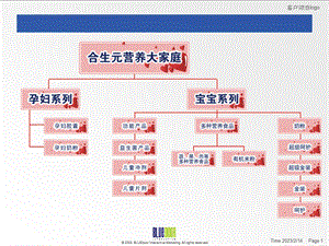 合生元竞品0712.ppt