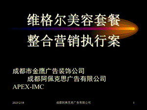 2012维格尔美容套餐整合营销执行案.ppt