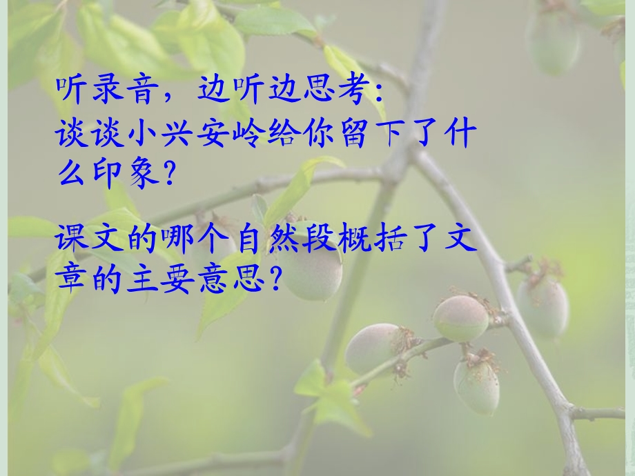 人教版小学语文三级上册《美丽的小兴安岭》PPT.ppt_第2页