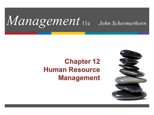 chapter 12 human resource managementjohn wiley … .ppt