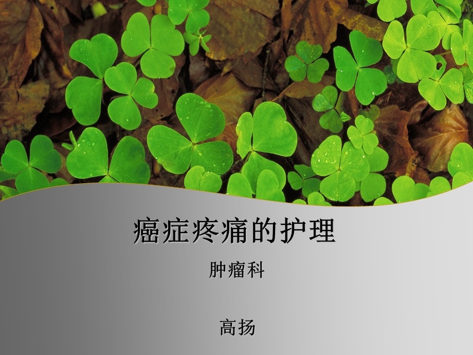 癌症疼痛的护理.ppt_第1页