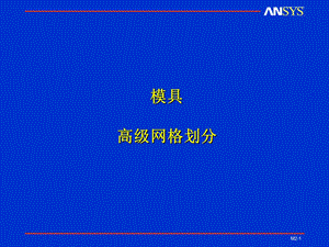 模具高级网格划分.ppt