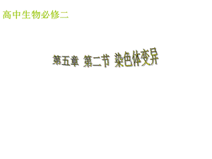 人教版高中生物课件：染色体变异.ppt