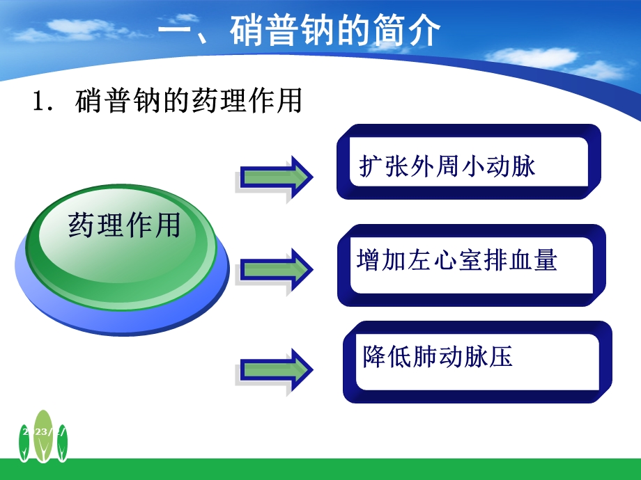 硝普钠的护理.ppt_第3页